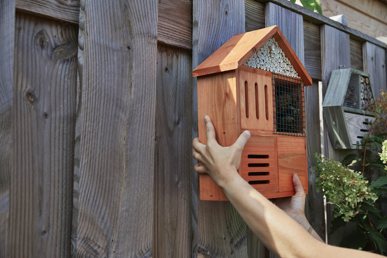 insectenhotel - advies welkoop